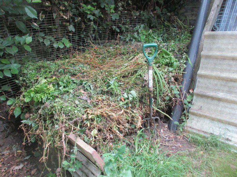 compost heap